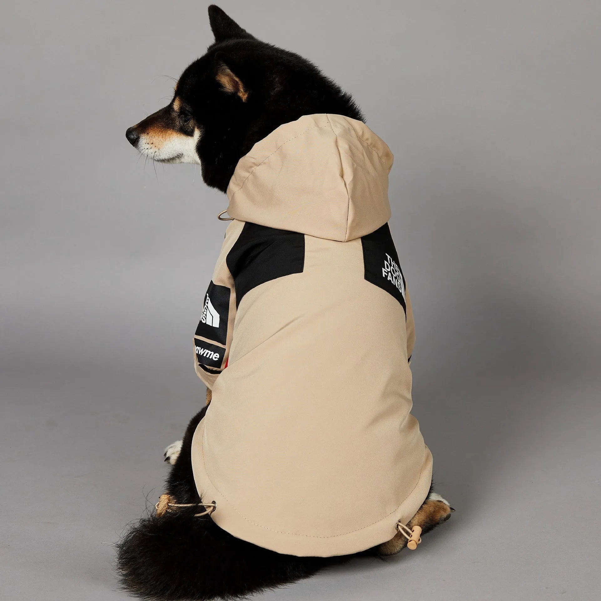 Khaki polyester dog shell jacket with zip closure shown on a dog