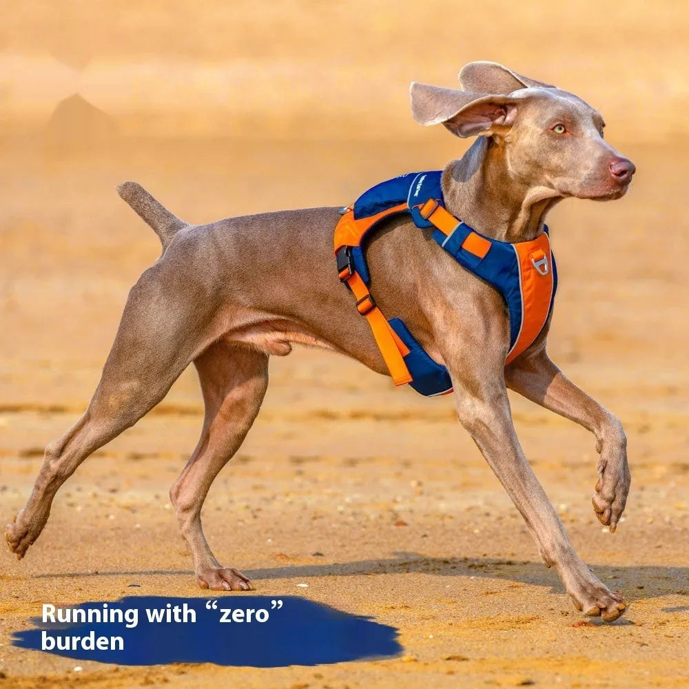 Orange blue nylon dog chest strap harness showing vest style design with single chest back loop