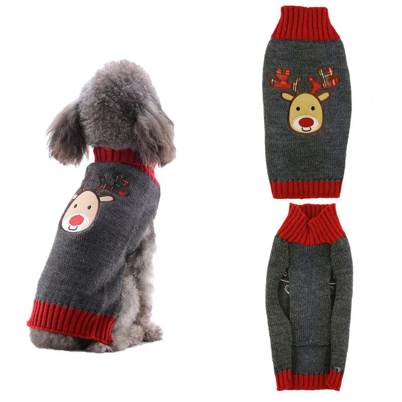 Small dog wearing a black acrylic Christmas sweater with colourful pompoms, standing indoors