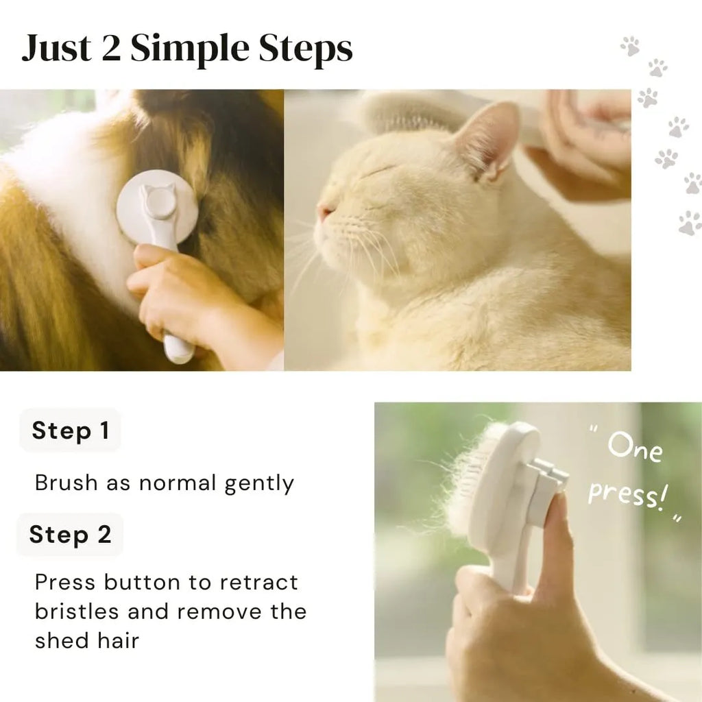 Self-cleaning pet grooming brush with blue rubber handle and stainless steel bristles