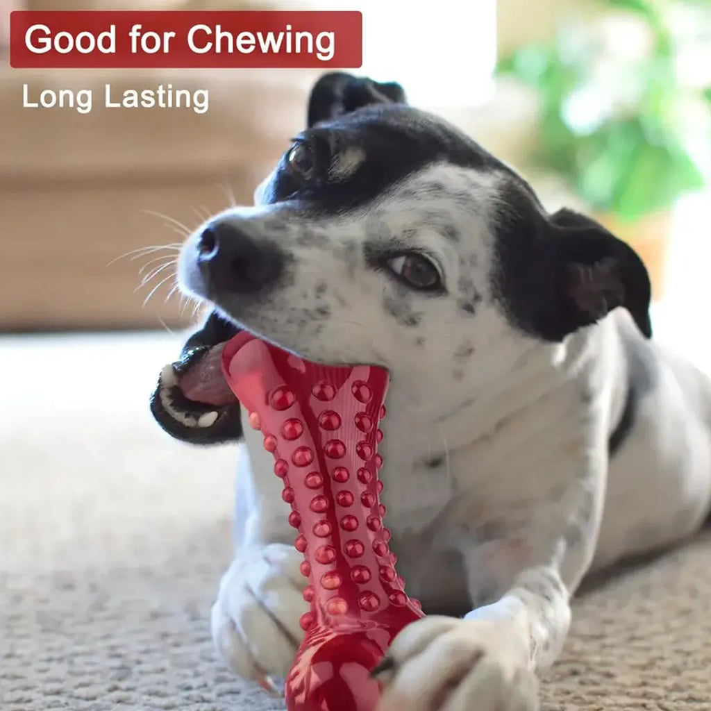 Red natural rubber chew toy for dogs, showing textured surface and solid construction.
