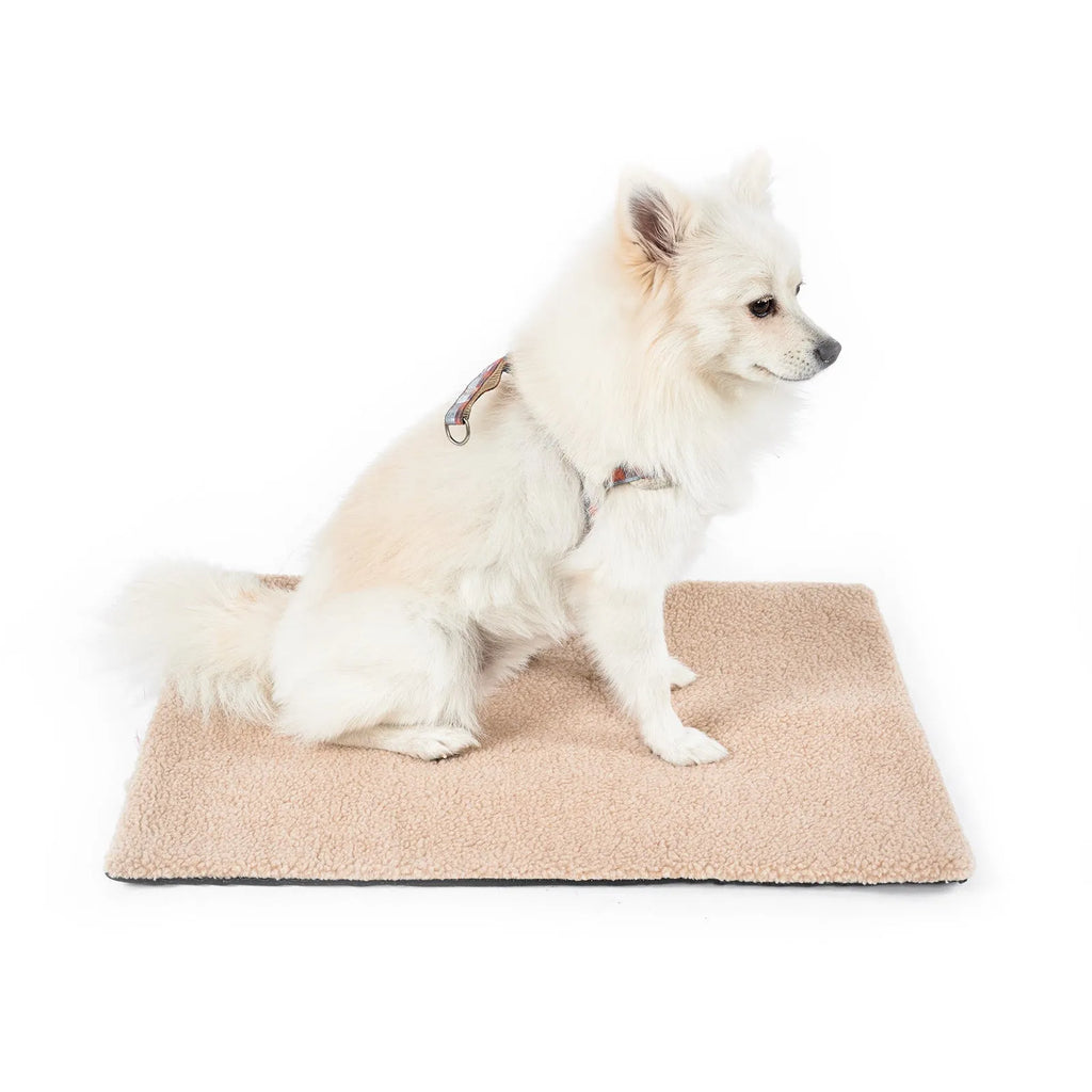 Grey self-heating pet bed with plush fabric and reflective thermal layer for indoor winter use