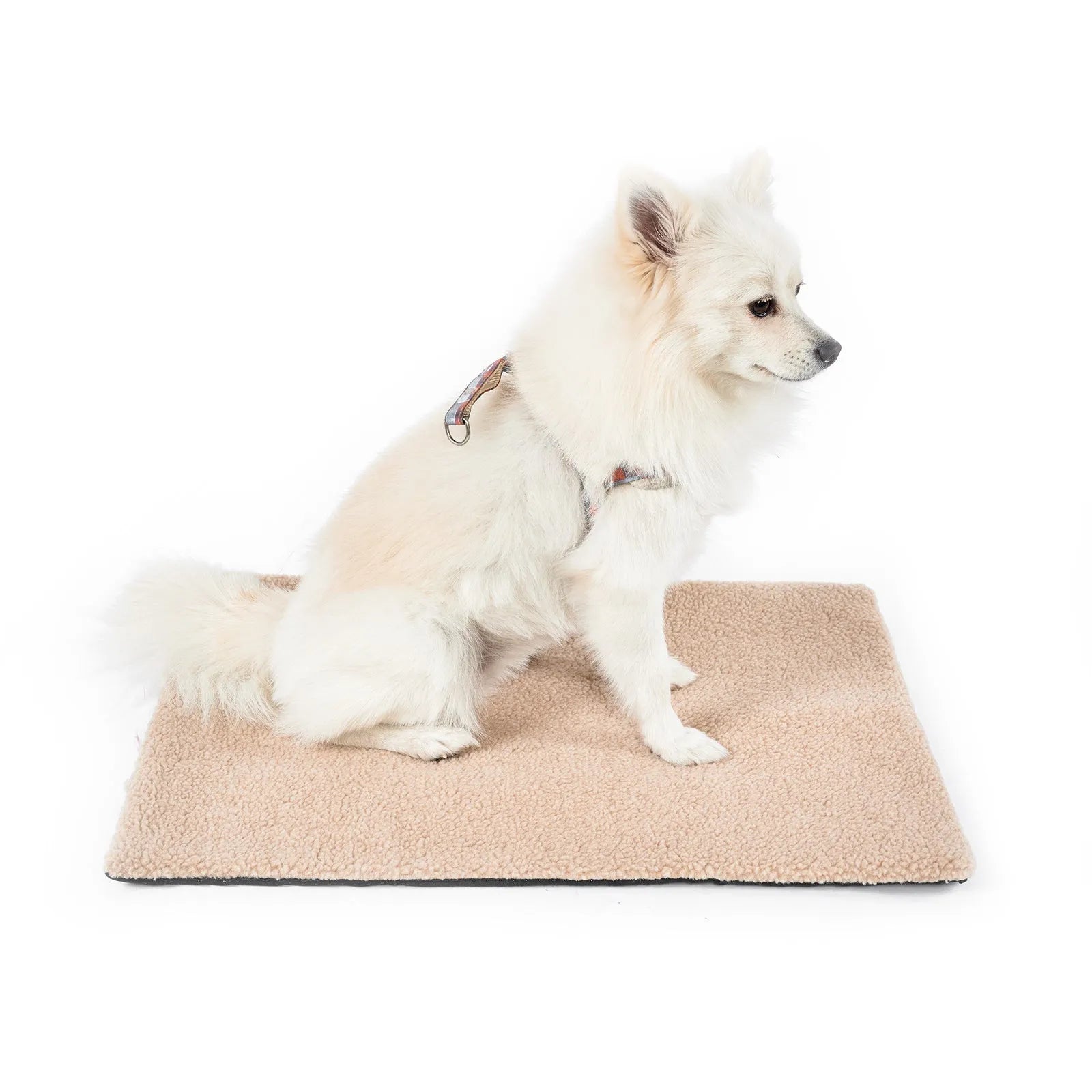 Grey self-heating pet bed with plush fabric and reflective thermal layer for indoor winter use