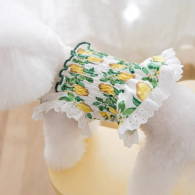 Rock yellow lemon princess style dog dress with thin breathable straps for small dogs