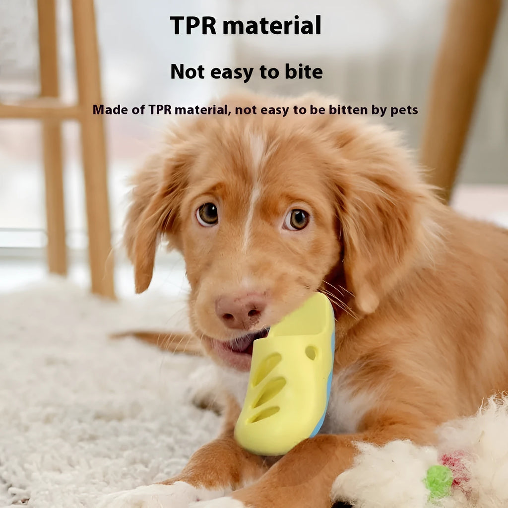 TPR dog cleaning brush with massage function in blue or yellow with different vamp style options