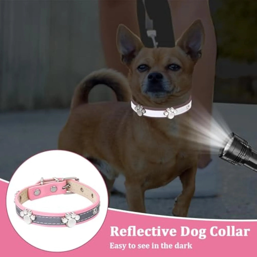 Reflective adjustable leather dog collar with paw rivet on a grey background.