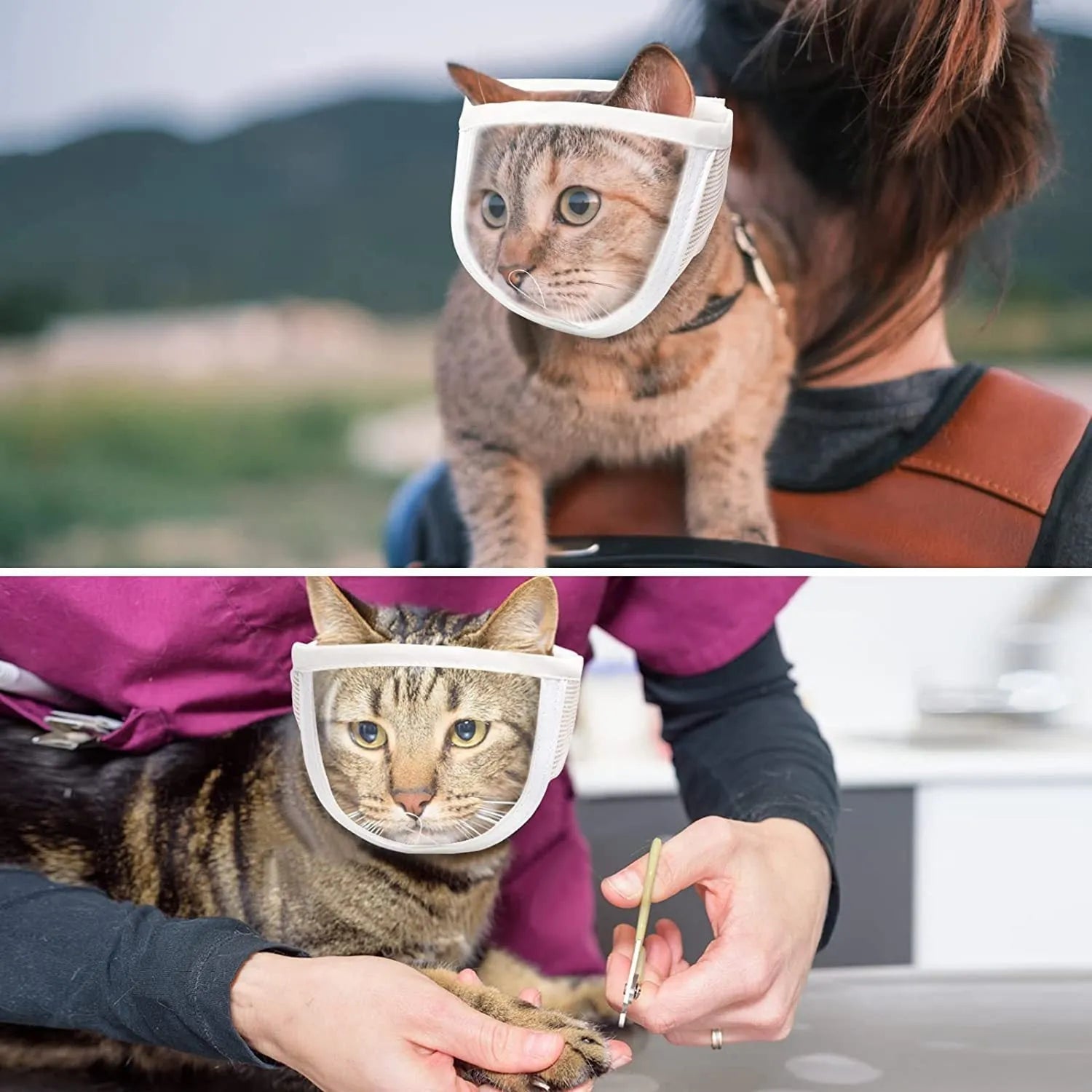Transparent PVC and cotton cat muzzle shown on a pet, with visible breathing hole.