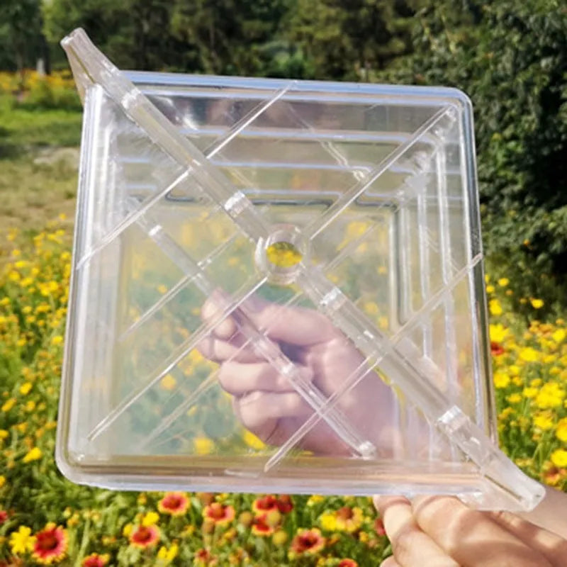 Square high-strength plastic growth mould for shaping watermelons and melons, 13cm interior dimensions.