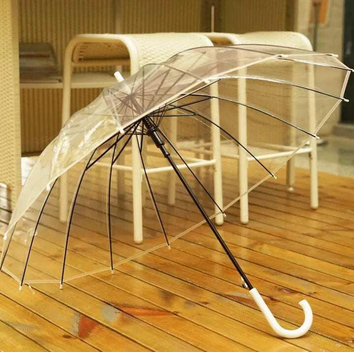 Transparent umbrella with long handle showing 16-rib frame structure