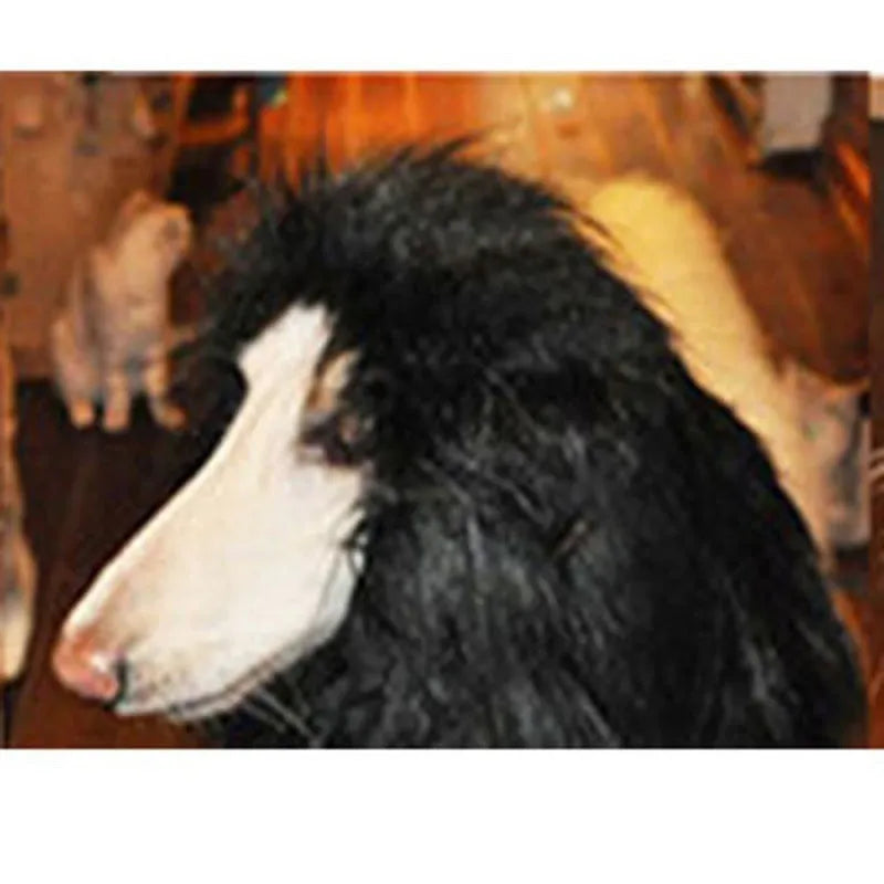 Lion mane wig for large dogs with head circumference below 74cm, 38x38cm headgear, black colour with ears