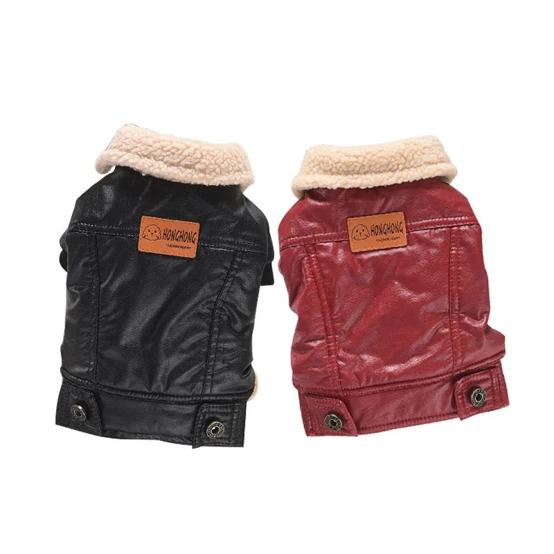 Red two-legged PU leather dog coat with fleece lining shown on a small dog, sized for winter.