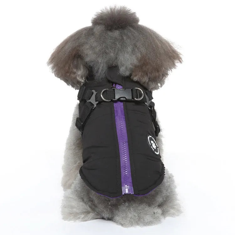 Polyester dog jacket with chest strap fastening and quilted padding in blue.