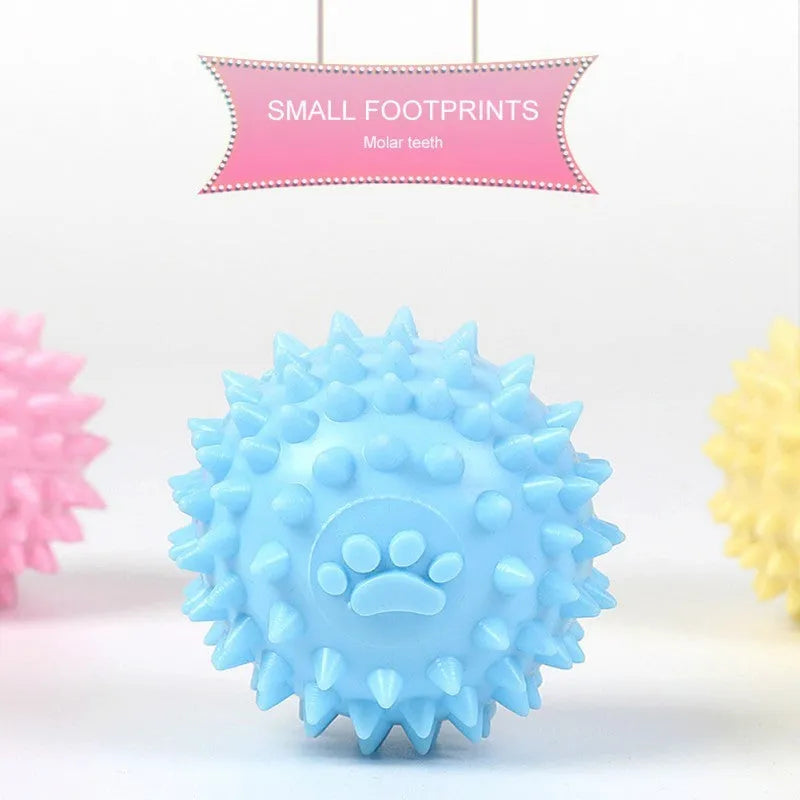 Blue TPR pet chewing ball with footprint texture, 6cm diameter, for dog and cat dental care