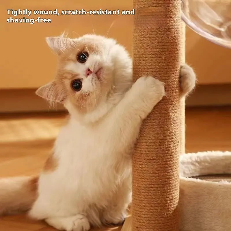 Wooden cat climbing frame with integrated space capsule and multiple climbing levels