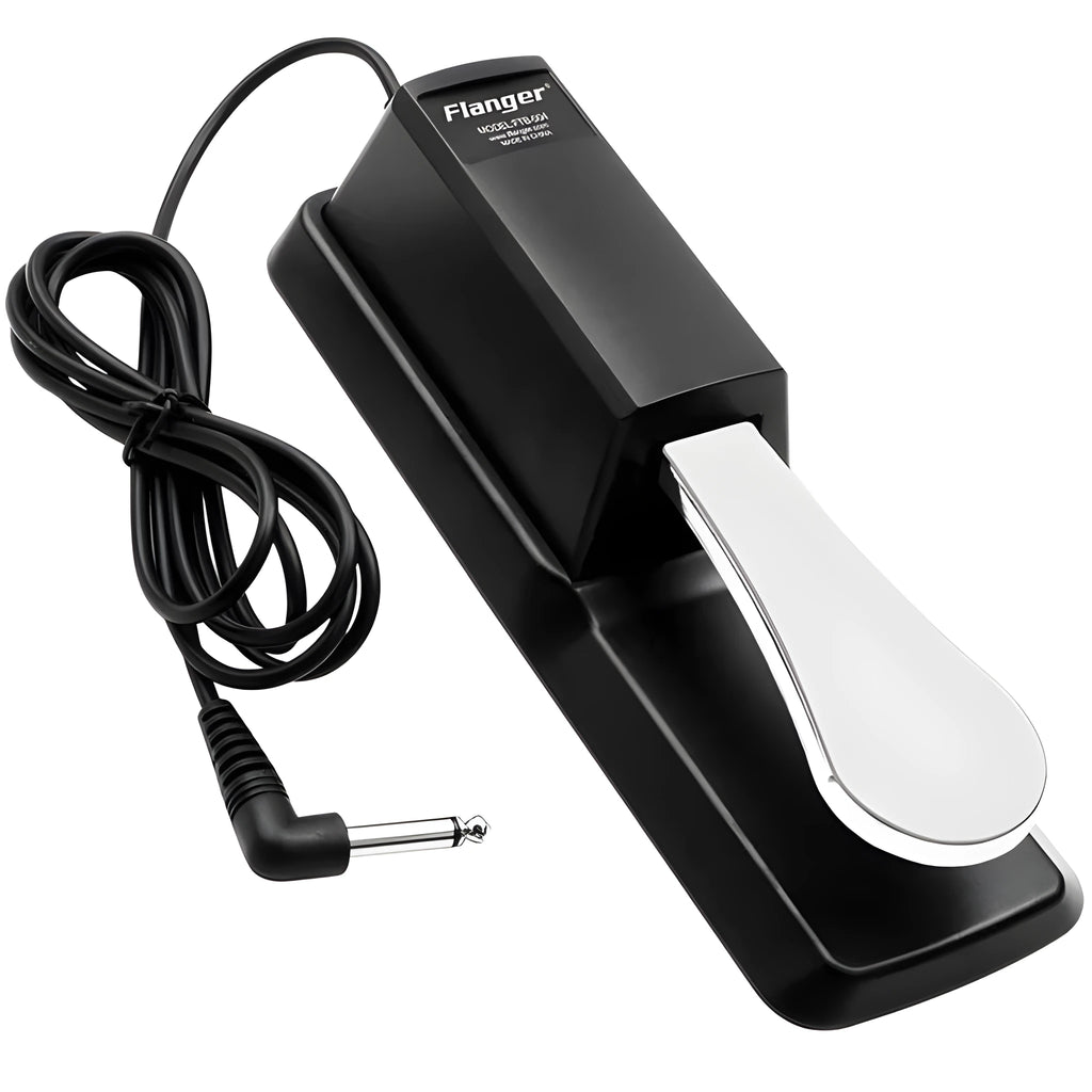 Universal sustain pedal FTB-004 in black with metal surface and attached 1.7-metre cable