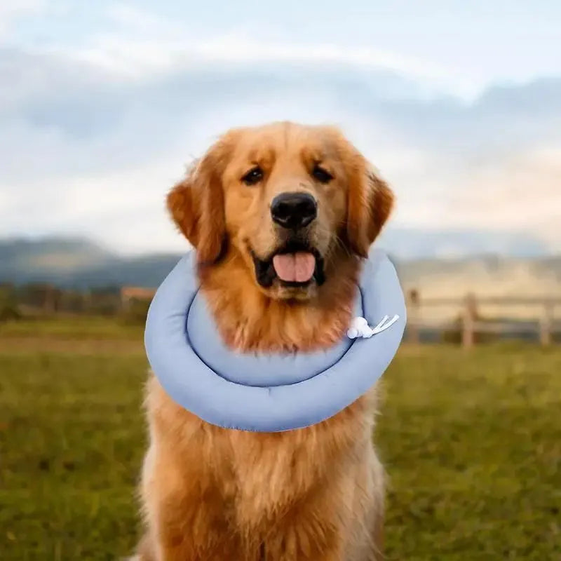 Blue adjustable Elizabethan recovery collar for dog or cat with spring buckle.