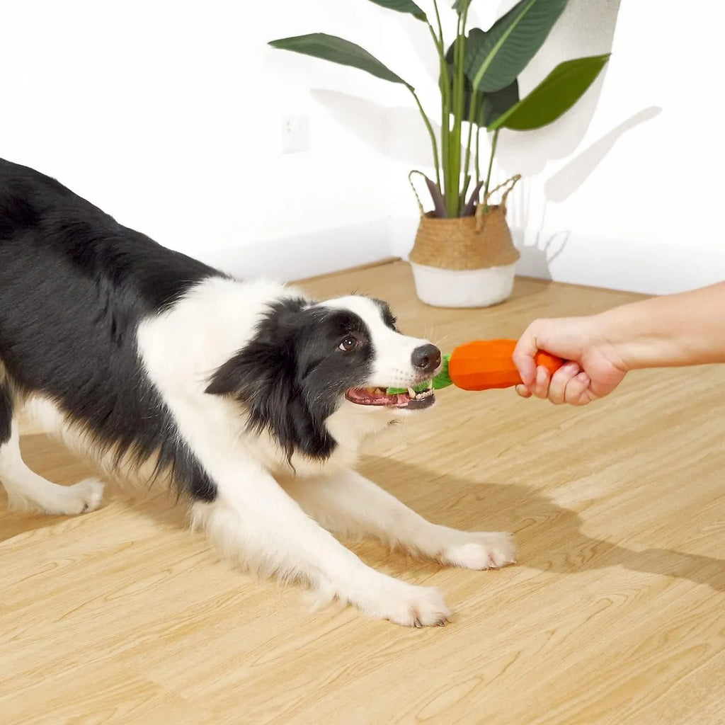 Milk flavour rubber carrot dog squeaky chew toy with green plush leaves for medium dogs