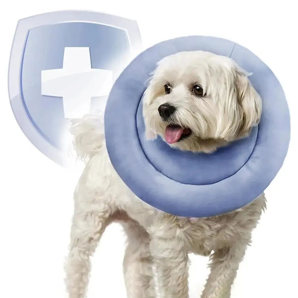 Blue adjustable Elizabethan recovery collar for dog or cat with spring buckle.