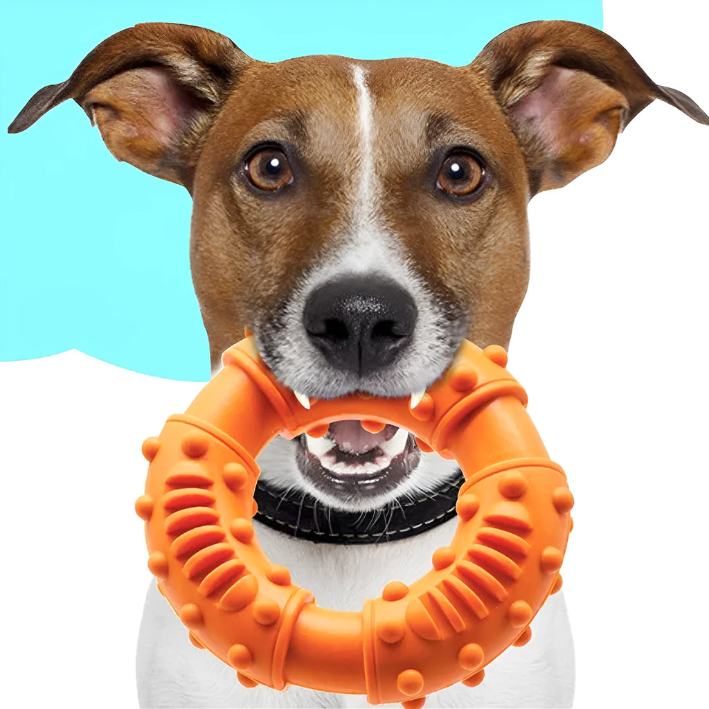 Blue hollow rubber dog fetching stick toy on grass, showing its lightweight, chewy design for catch and fetch games.