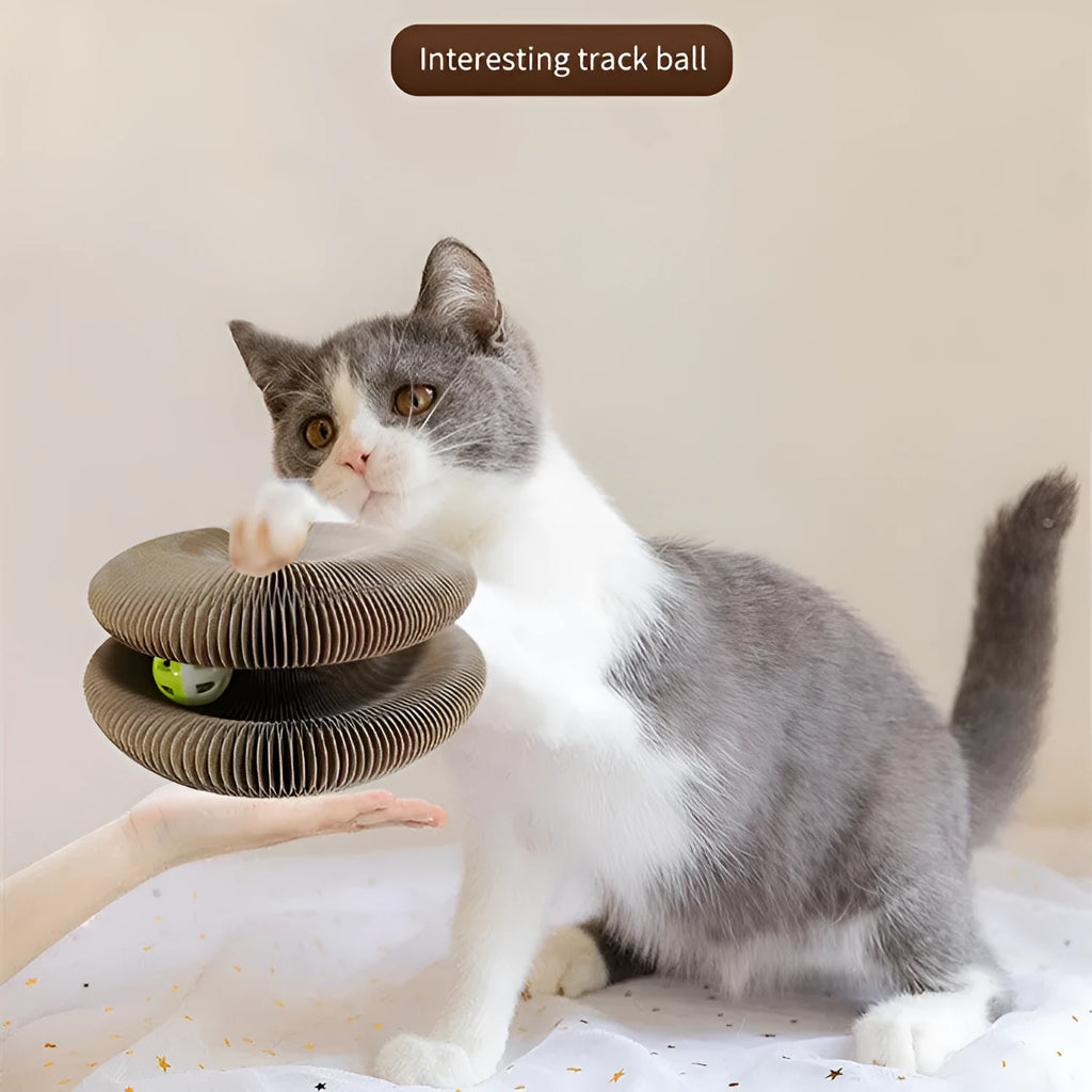 Cat scratch board magnetic folding 24x24x10cm paper in white pink or black with ball and menthol