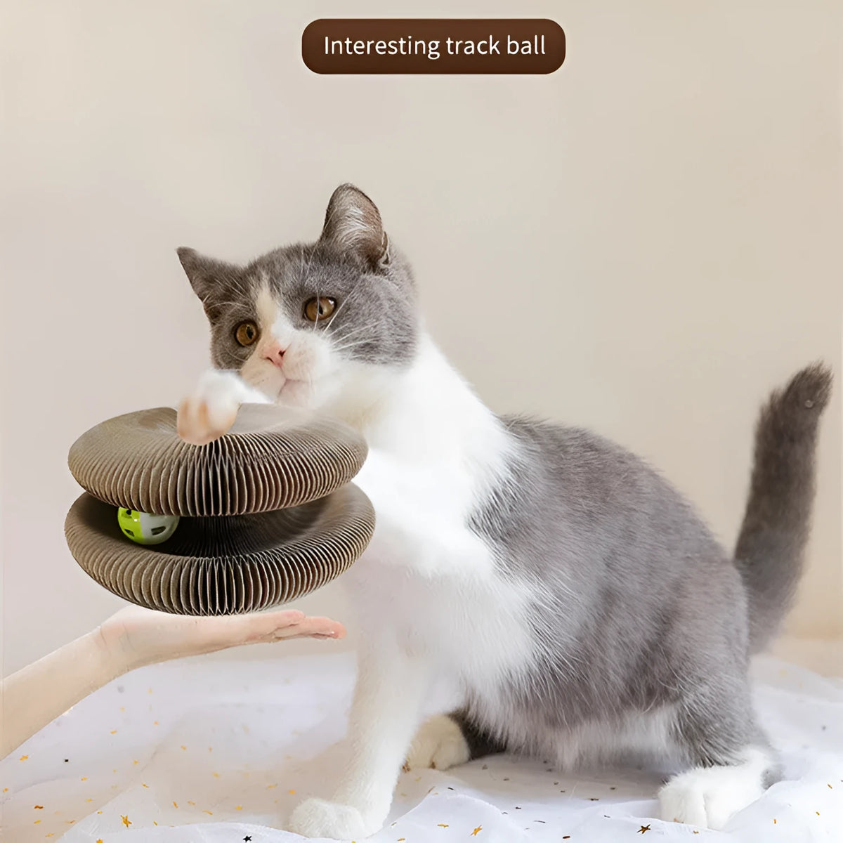 Cat scratch board magnetic folding 24x24x10cm paper in white pink or black with ball and menthol