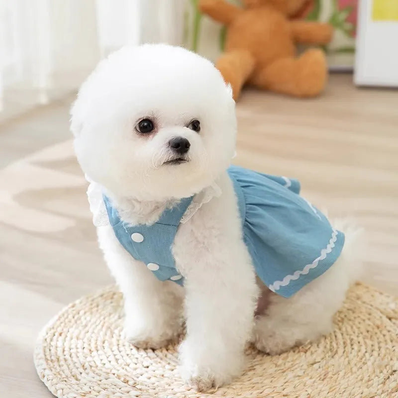 Bondi Blue strawberry and denim pattern dog skirt for small dogs on a mannequin.