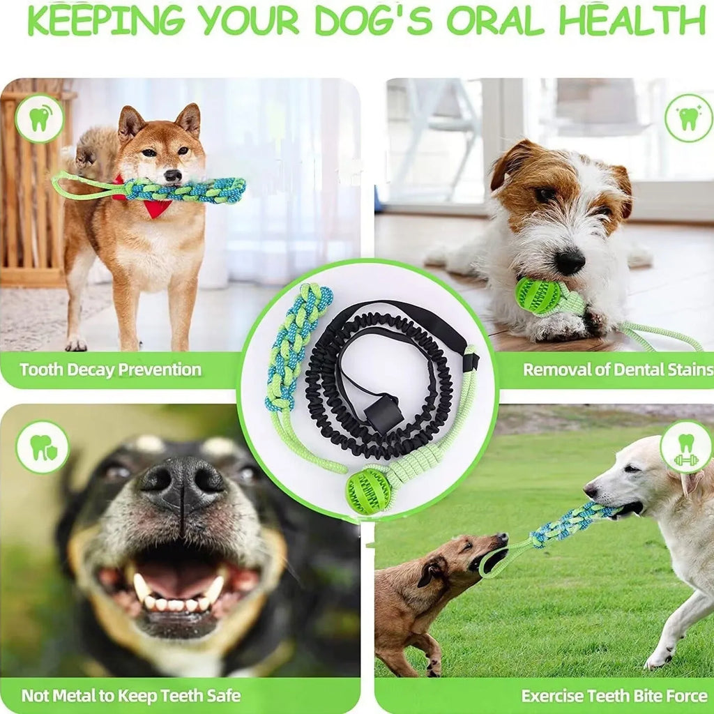 Green cotton thread dog tug rope toy with a ball style end for interactive bite and pull games.