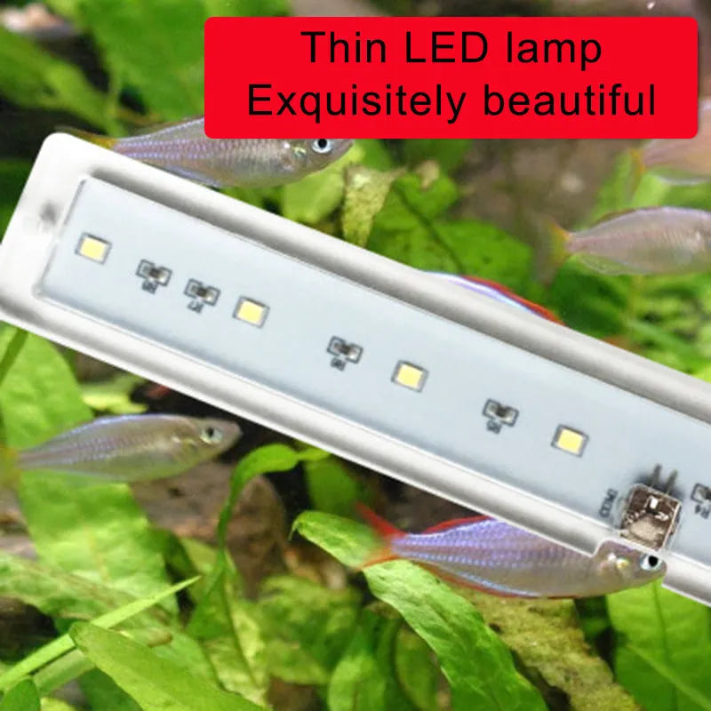 Thin transparent LED fish tank light with acrylic body and touch switch on 10mm tank wall