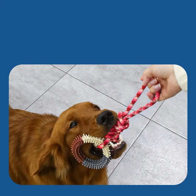 Braided cotton rope pet toy in dazzling colours with knotted design for chewing