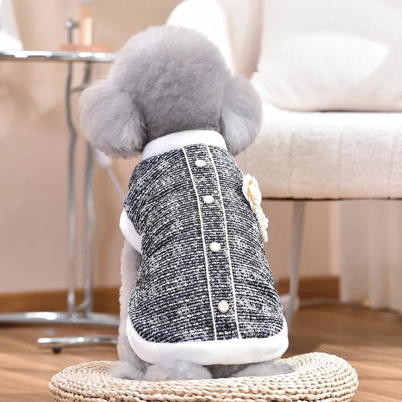 Black PU jacket on sausage-shaped cat with size range XS to 4XL