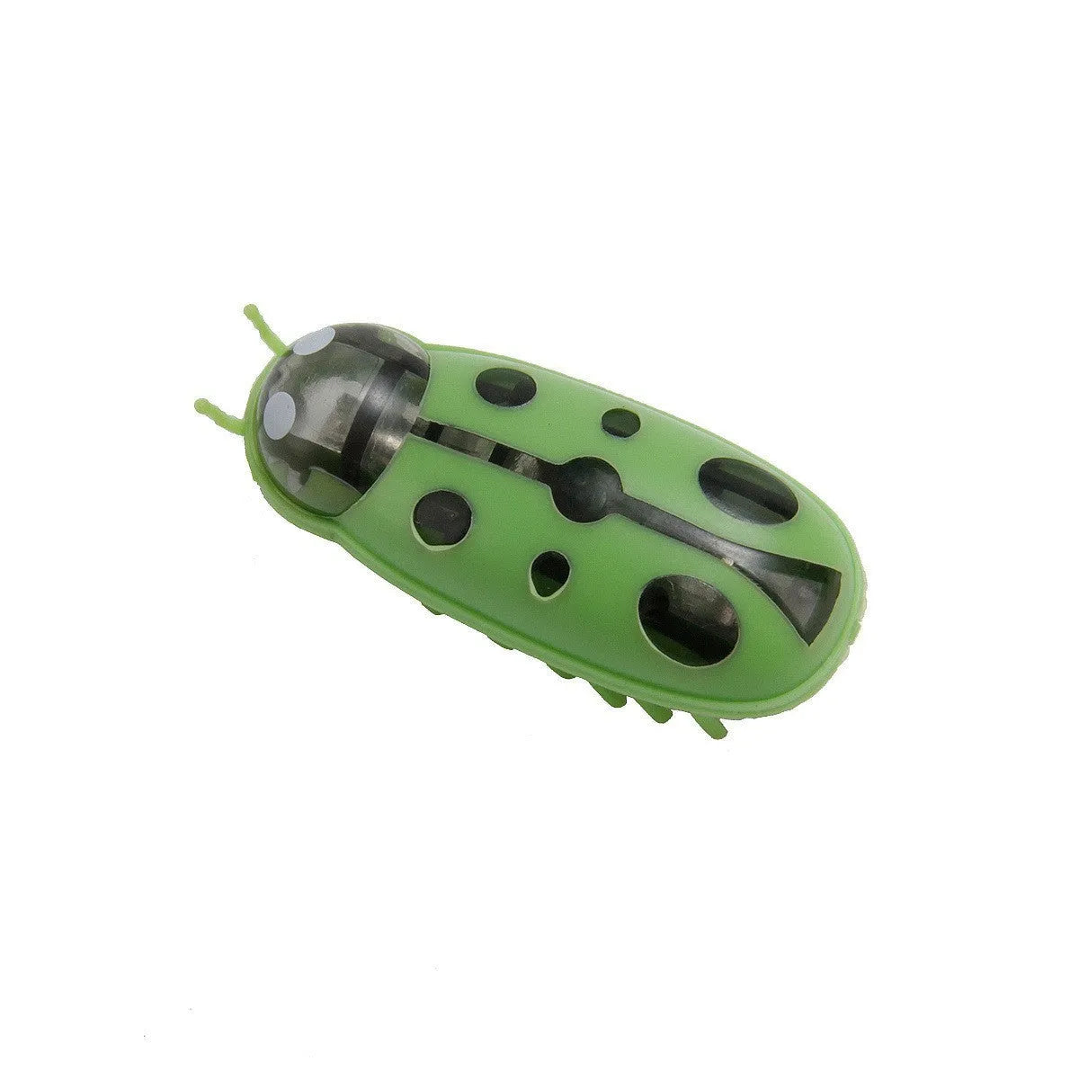 Electric toothbrush worm cat teaser toy in ladybug red and black colour with 4.5cm dimensions