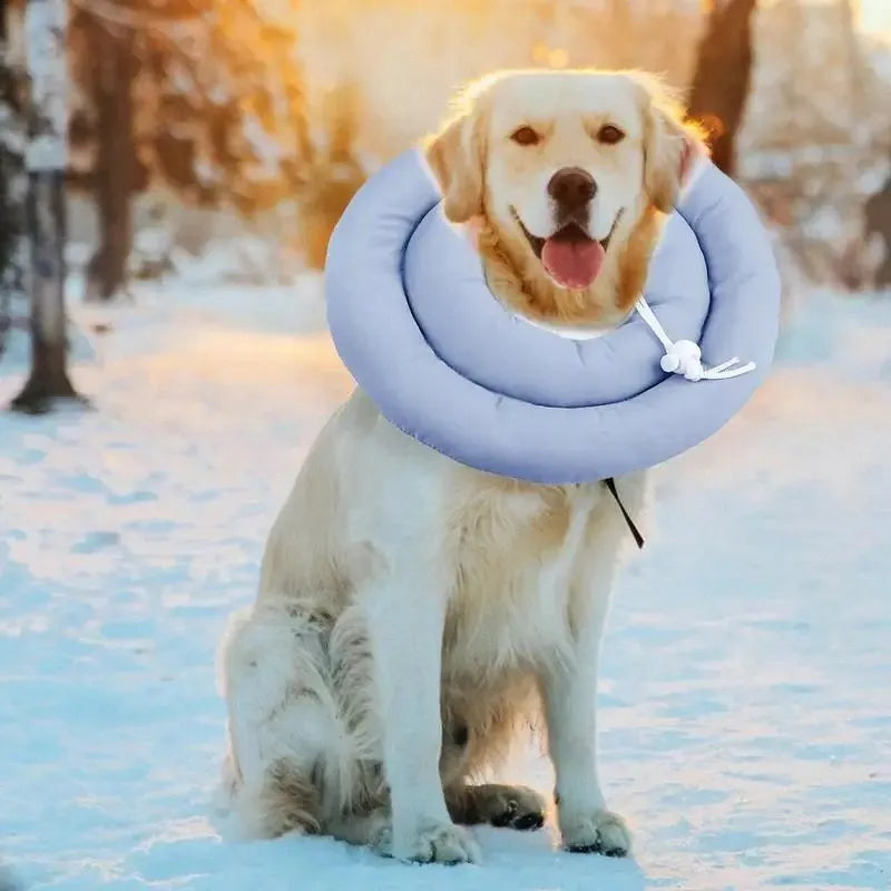 Blue adjustable Elizabethan recovery collar for dog or cat with spring buckle.