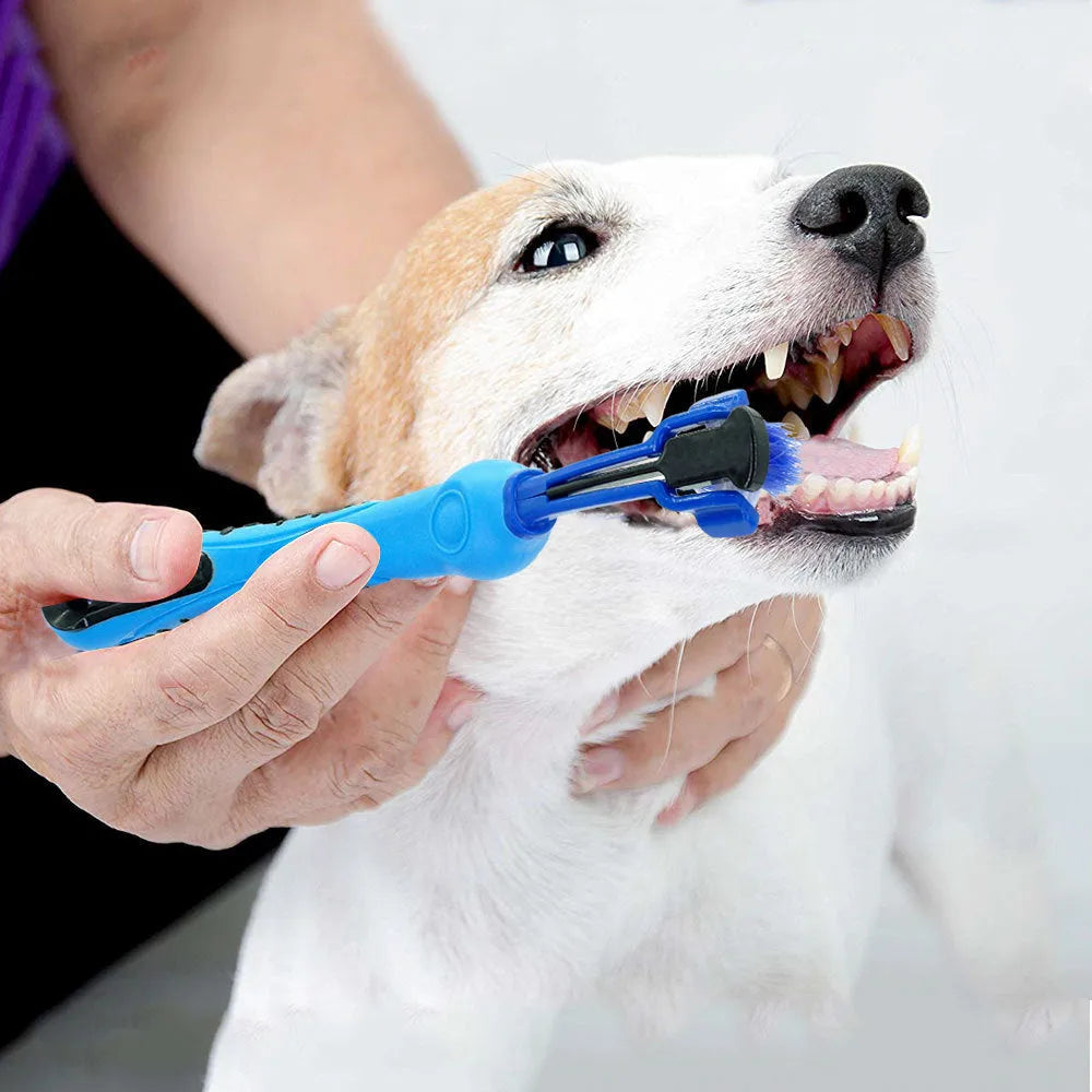 Plush pet toothbrush for dogs and cats in a random colour, designed for dental care and tartar removal.