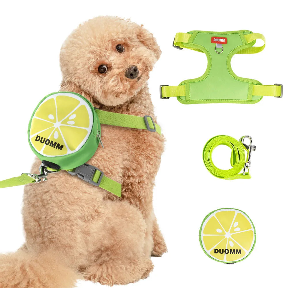 Pet backpack chest strap harness with anti-slip traction rope in green colour