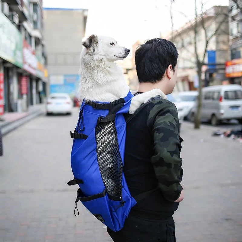 Pet dog carrier backpack in polyester with double shoulder straps, available in multiple sizes and colours