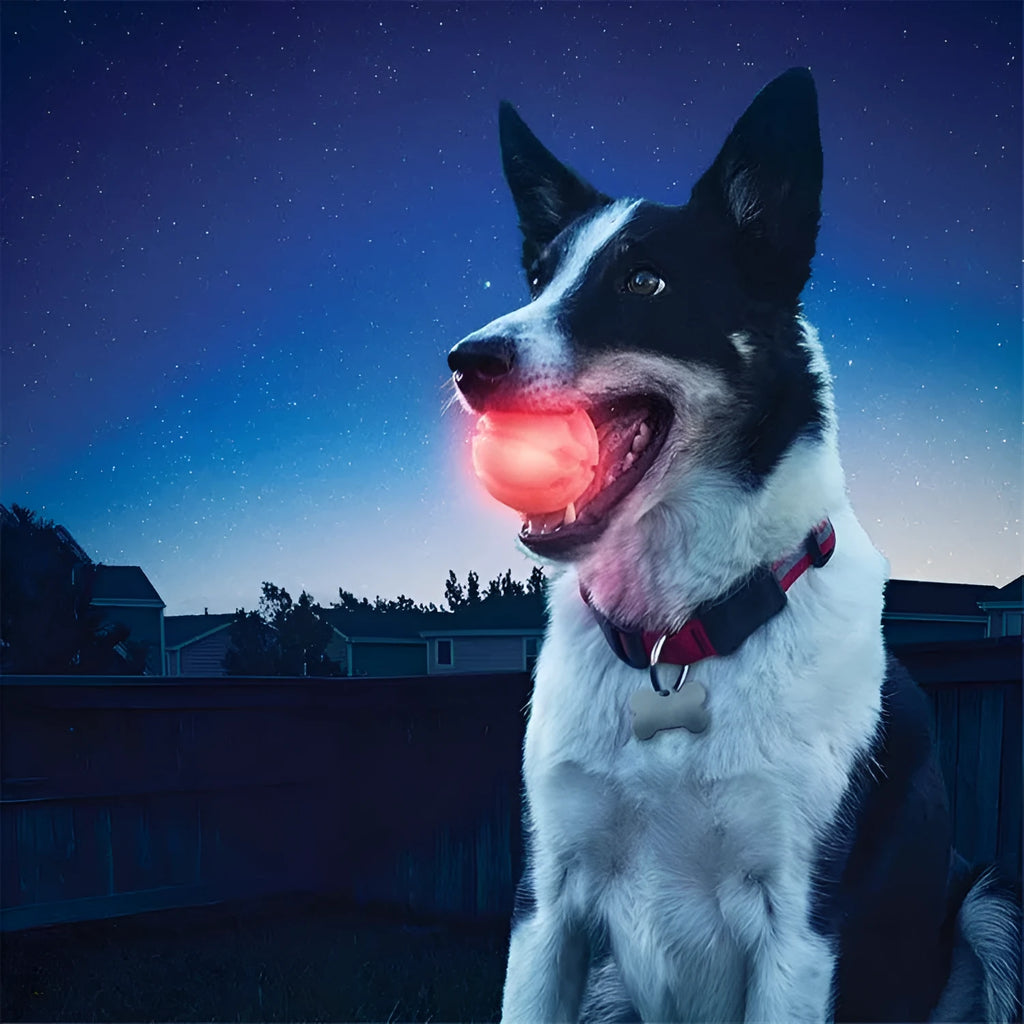 LED glowing dog biting ball in six colours with three sizes visible: red, blue, green, orange, pink, yellow.