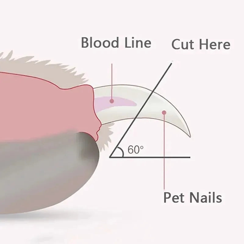 Blue pet nail clippers with LED light on handle for trimming cat and dog nails safely