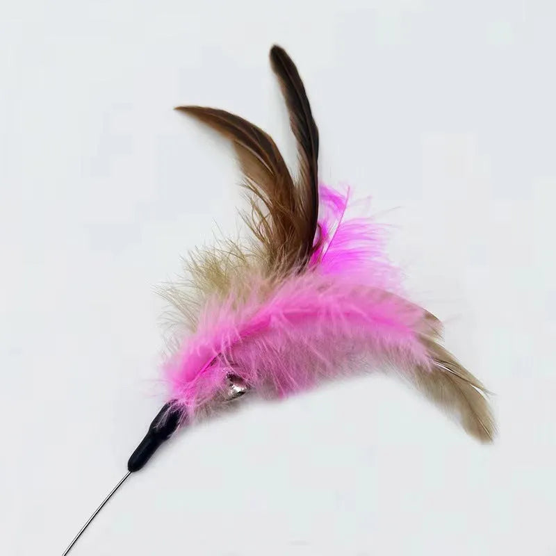 Blue adjustable cat collar with attached feather wand toy and small bell