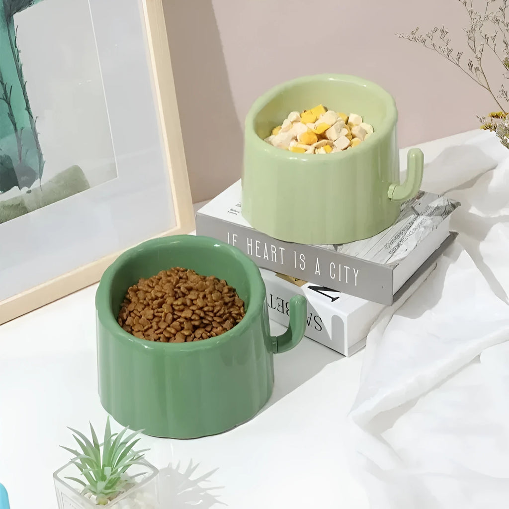 Dark green cat bowl with cactus design, showing wide mouth, heavy base, and anti-slip ring