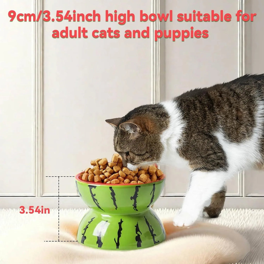 Ceramic elevated cat bowl with tilted wide dish in a colourful fruit pattern.