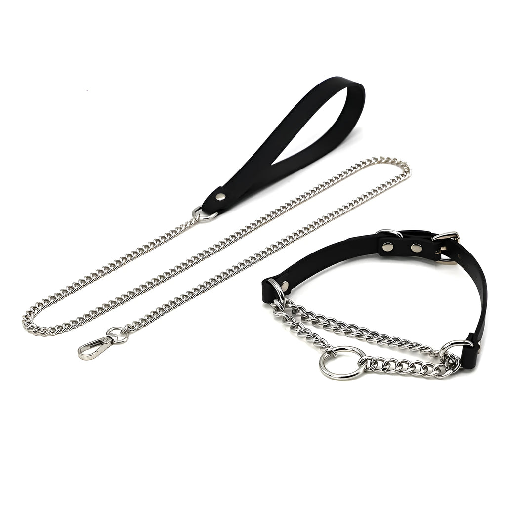 Black leather dog collar and matching leash with a rope hand grip.