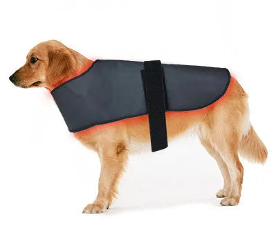 L size black pet red light infrared physiotherapy instrument with timing function for dogs and cats