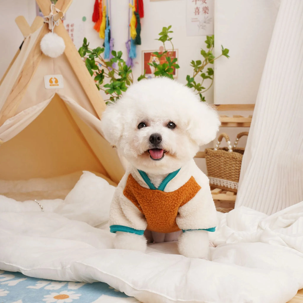 Lambswool fleece pet sweatshirt in caramel colour showing casual styling for dogs or cats