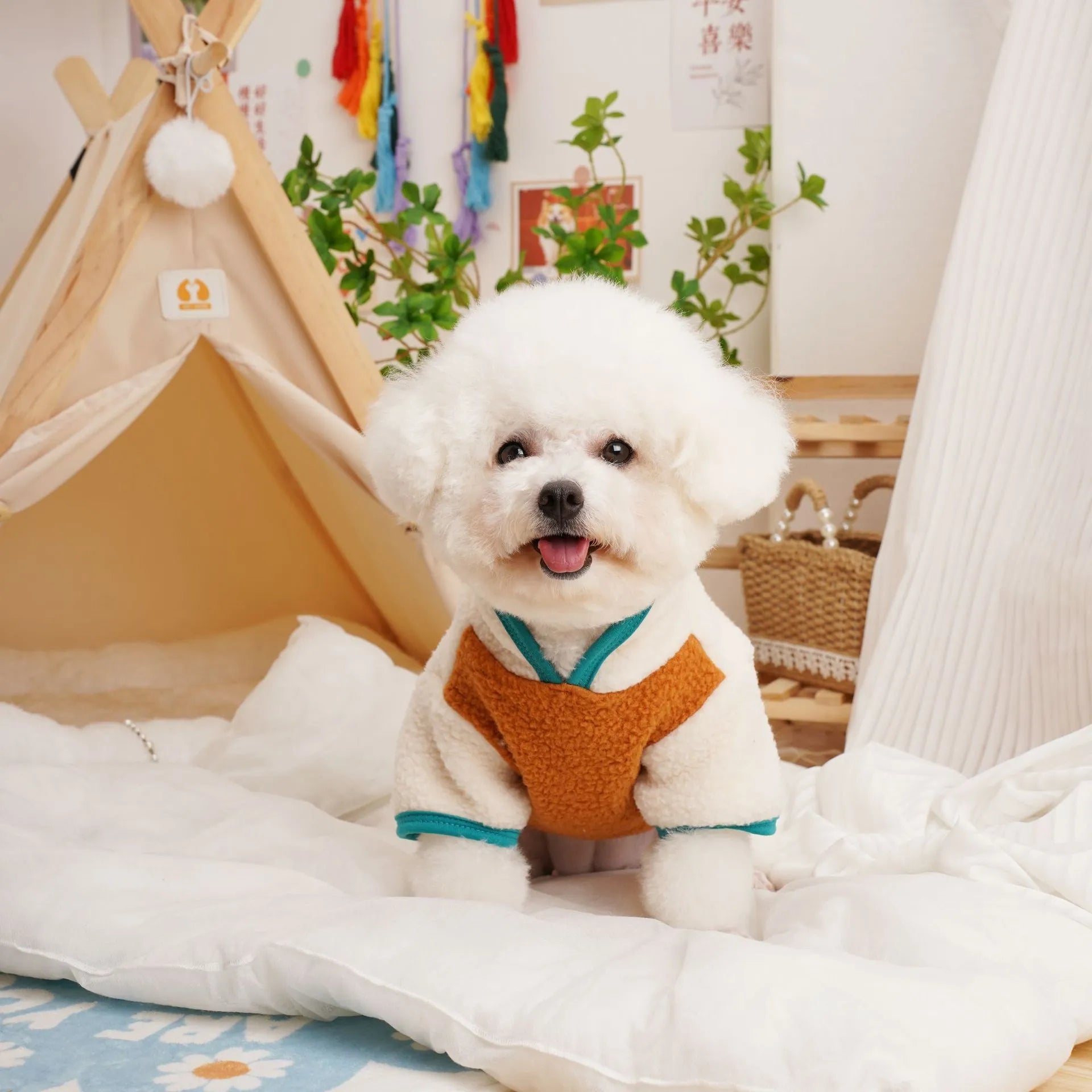 Lambswool fleece pet sweatshirt in caramel colour showing casual styling for dogs or cats