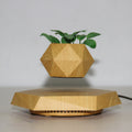 Hexagonal wood grain plant pot floating above circular base with magnetic levitation