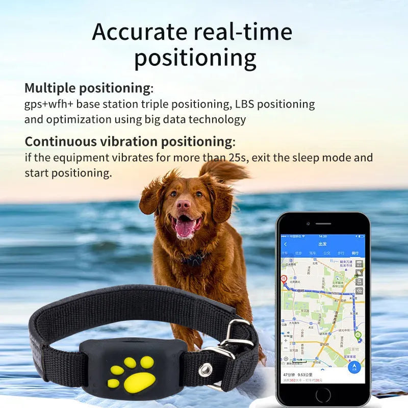 Waterproof GPS pet tracker in black, sky blue, pink, or green grass colours, showing compact 65.5mm size.
