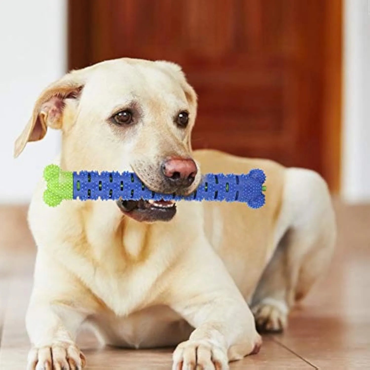 Blue green dog dental cleaning stick with silicone brush head and massage nodules measuring 25cm