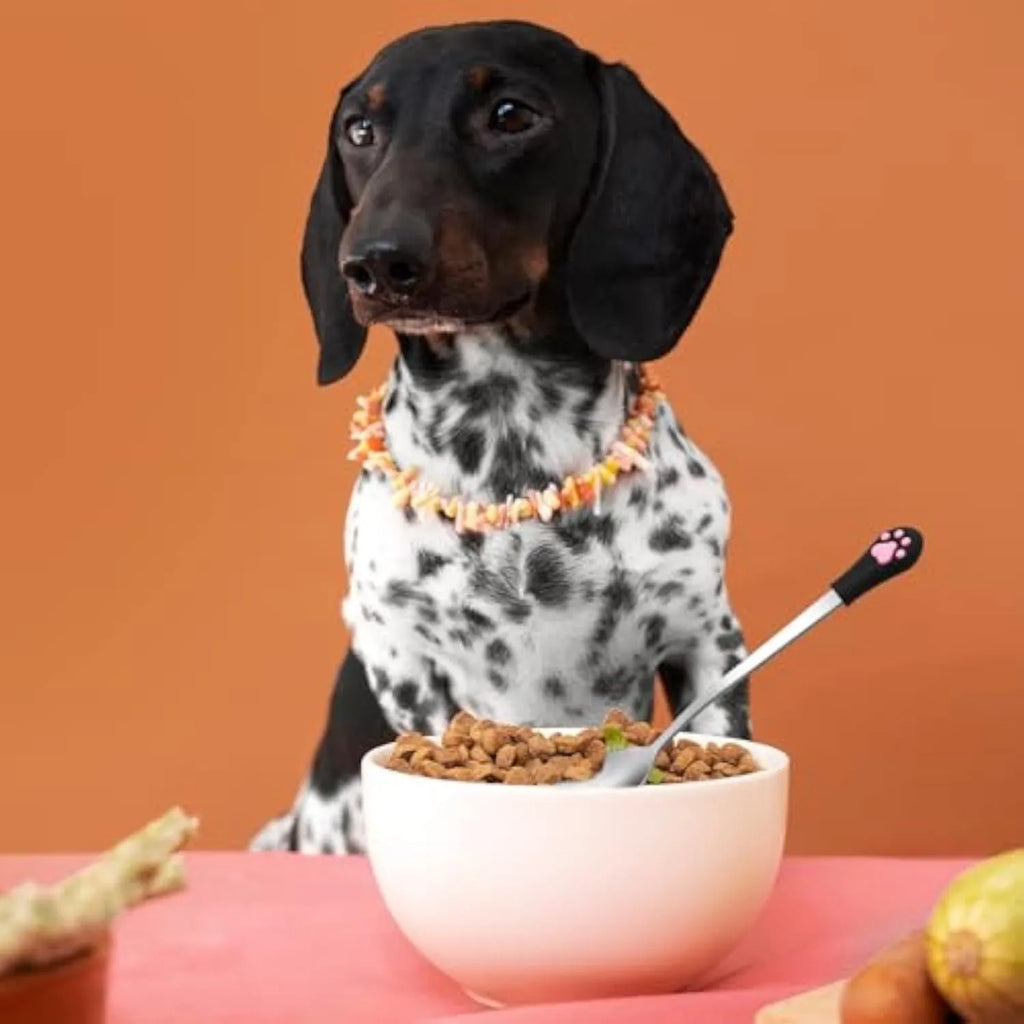 Two stainless steel pet food spoons with silicone handles in white and black colours