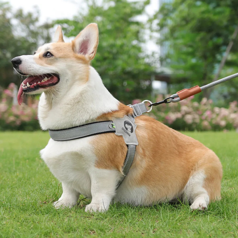 New dog breast strap saddle pet harness in breathable polyester with reflective stripes and hand-holding rope on a solid-colour background