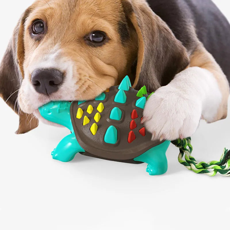 Natural rubber dog toothbrush chew toy in assorted colours with a knot tail for tug-of-war.